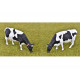 4 vaches Holstein-Friesian 3200503