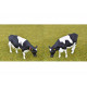 4 vaches Holstein-Friesian 3200503