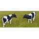 4 vaches Holstein-Friesian 3200503